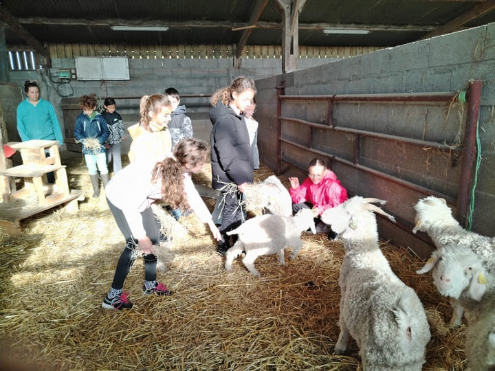 Visite_ChevresAngora_Oct2025 (10)