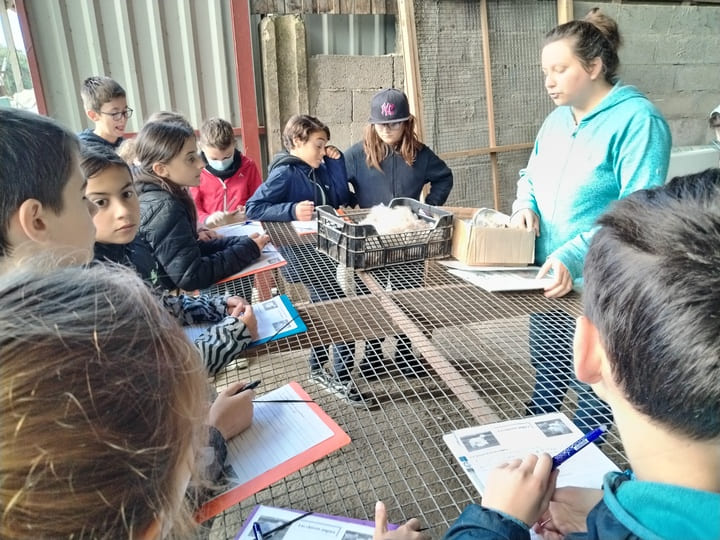 Visite_ChevresAngora_Oct2025 (16)