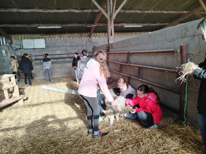 Visite_ChevresAngora_Oct2025 (2)