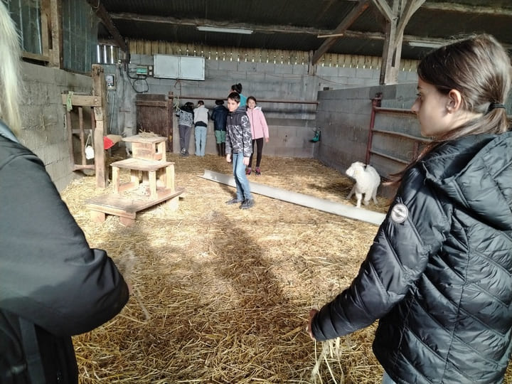 Visite_ChevresAngora_Oct2025 (5)
