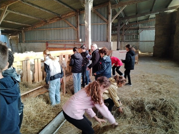 Visite_ChevresAngora_Oct2025 (7)