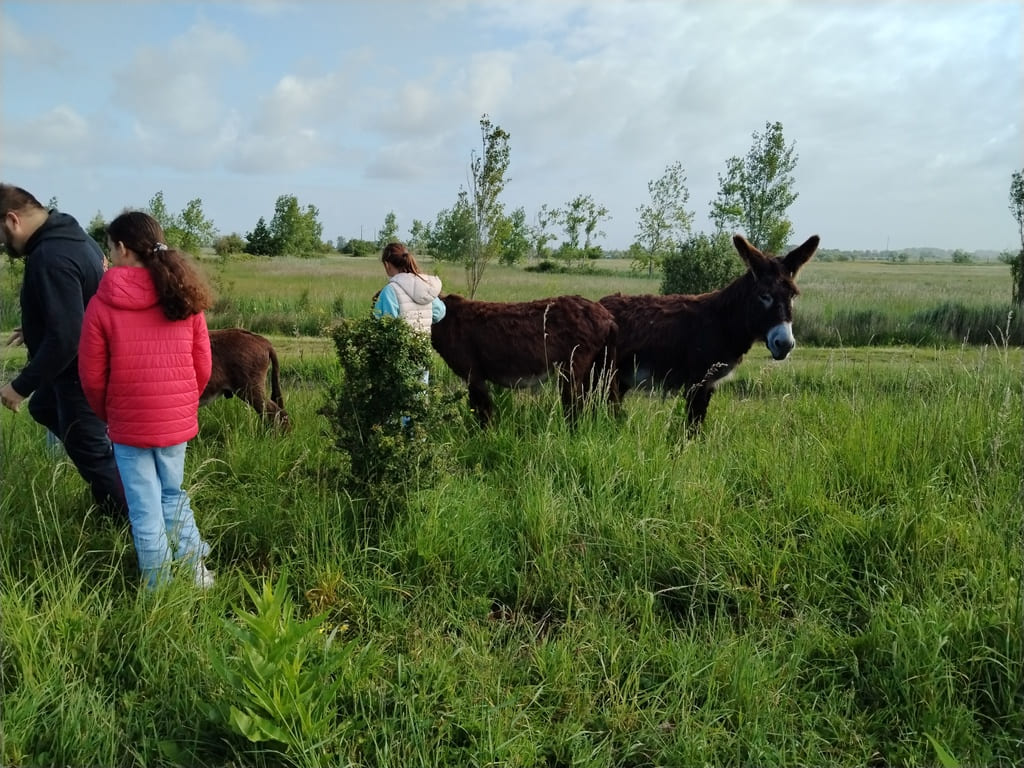 IMG_20260520_095718