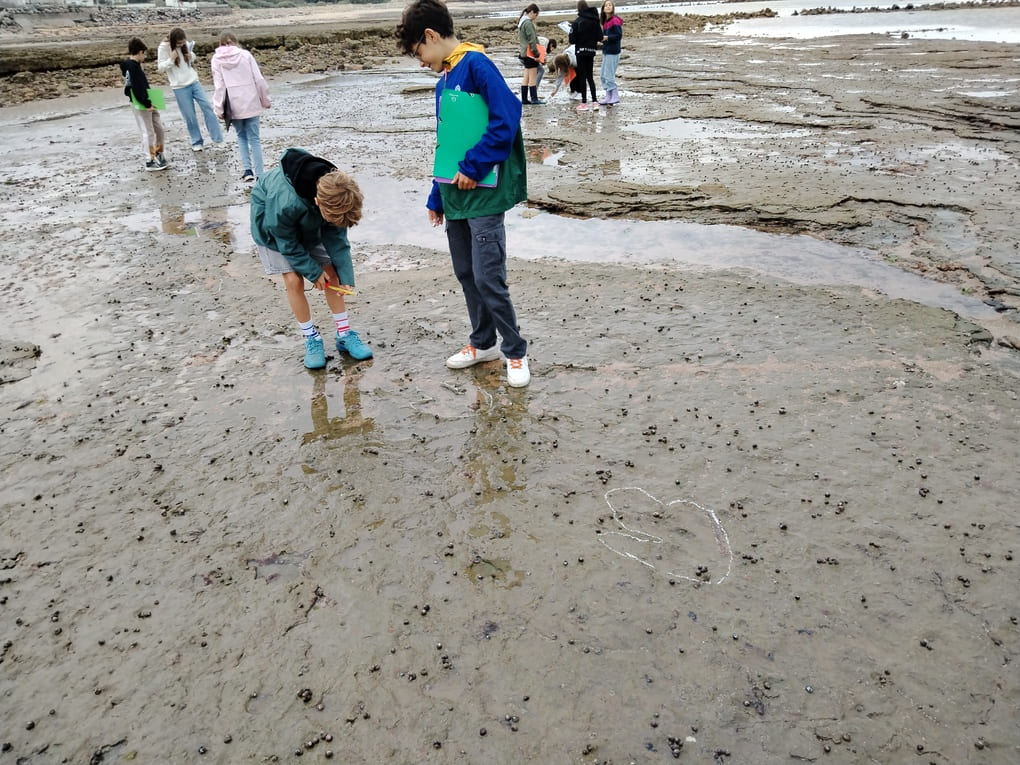 IMG_20261007_102249